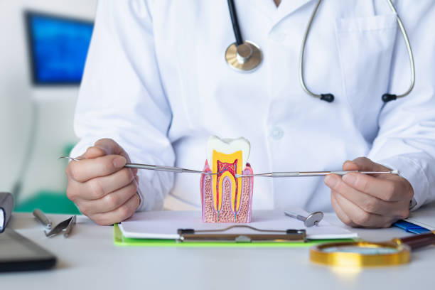 Best Cracked Tooth Emergency Dentist  in Washington, NC